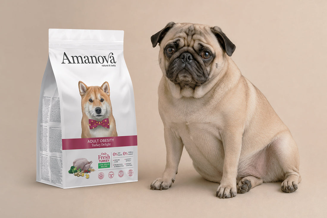 ¿Cómo elegir un alimento ligero para perros con sobrepeso?