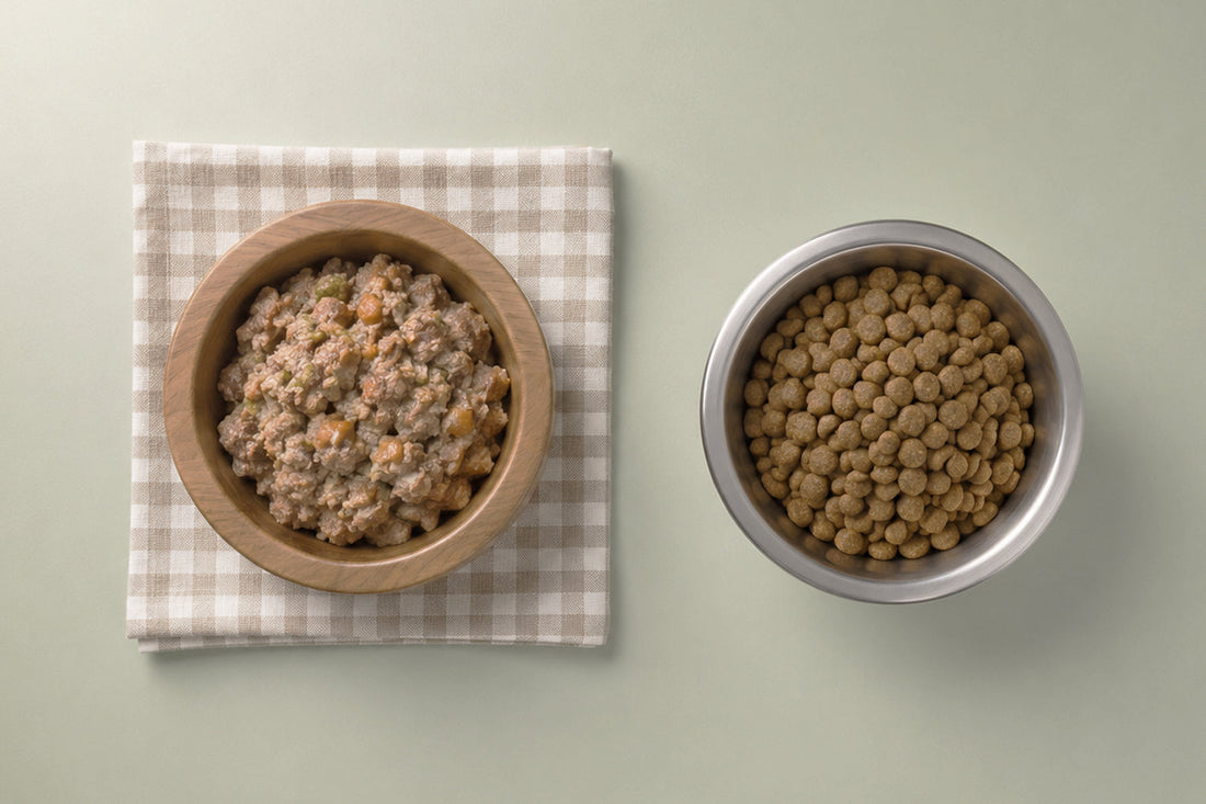 Plato con comida casera natural para perros frente a pienso comercial