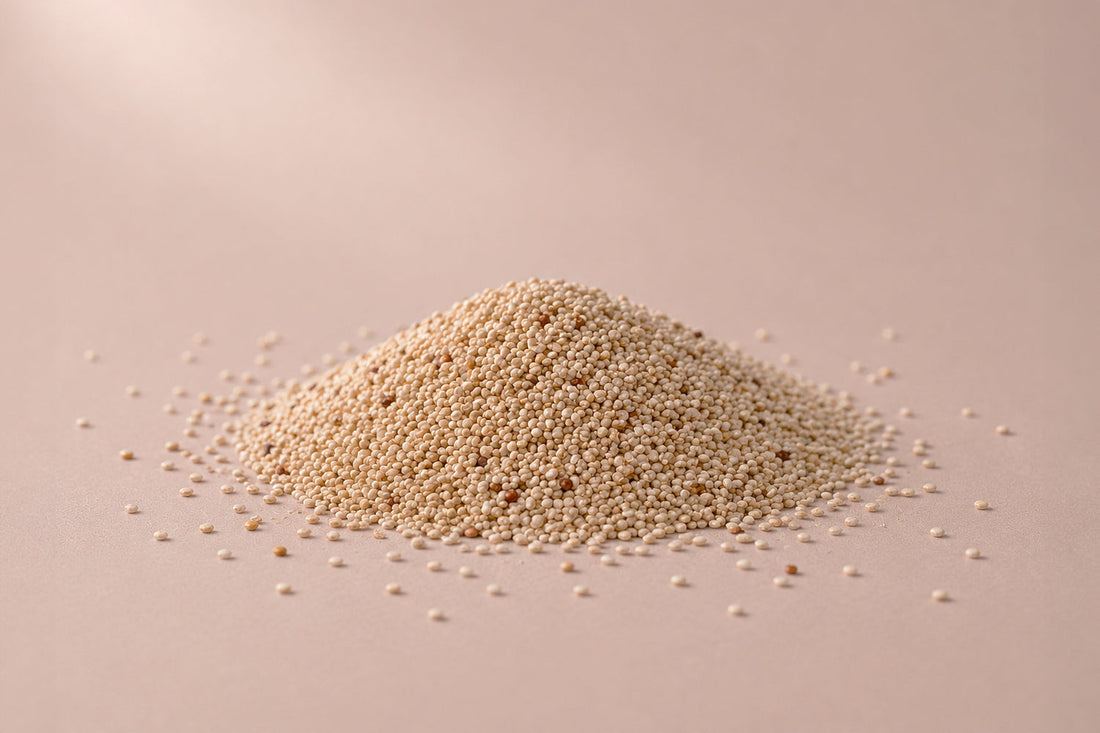 ¿Cuáles son los beneficios de la quinoa para perros?