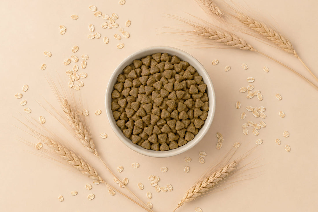 Pienso para gatos sin cereales: ¿sí o no?