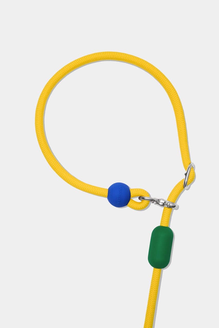 Connect Hands-Free Rope Leash Chroma - laisse