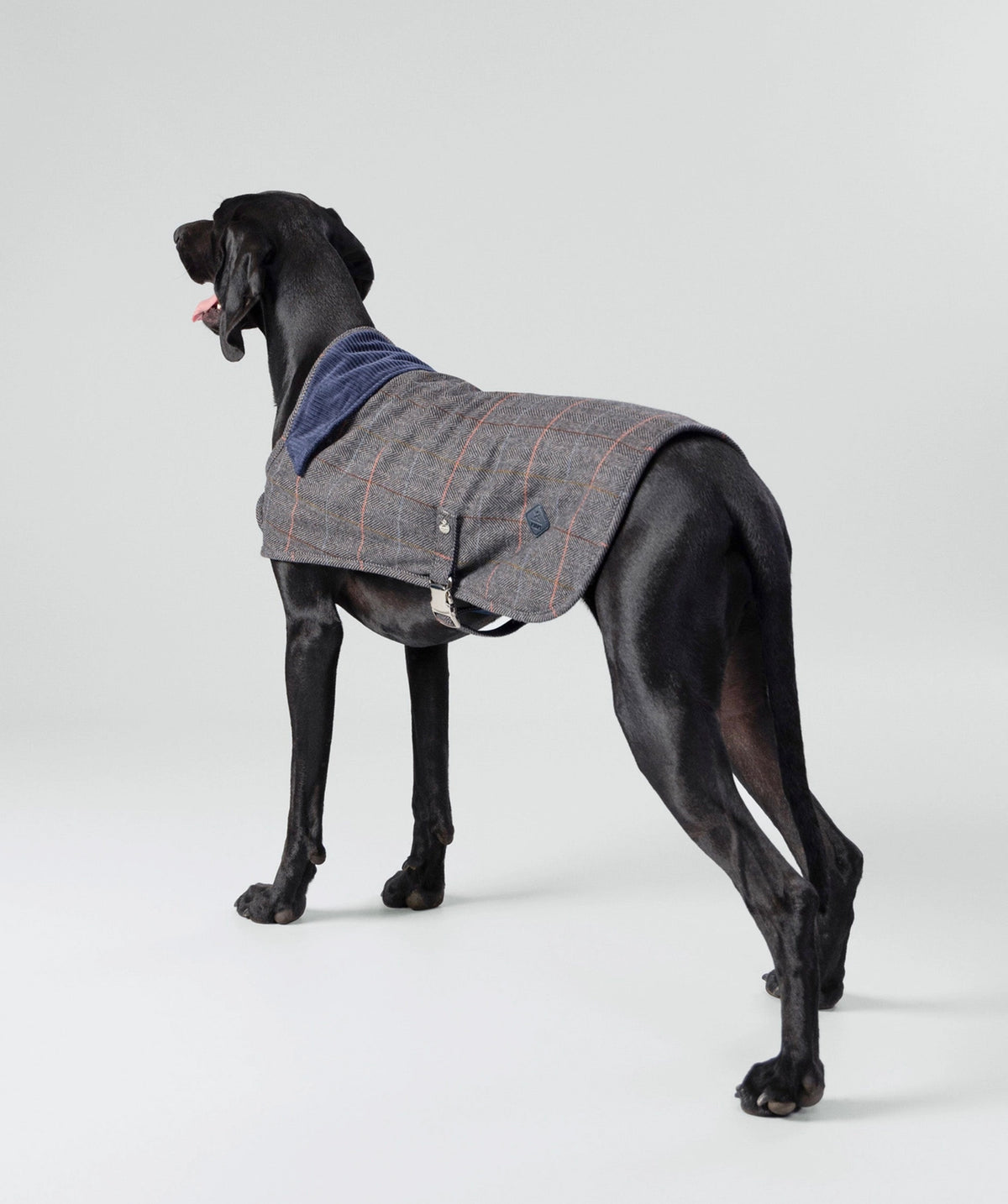 Tweed jacket