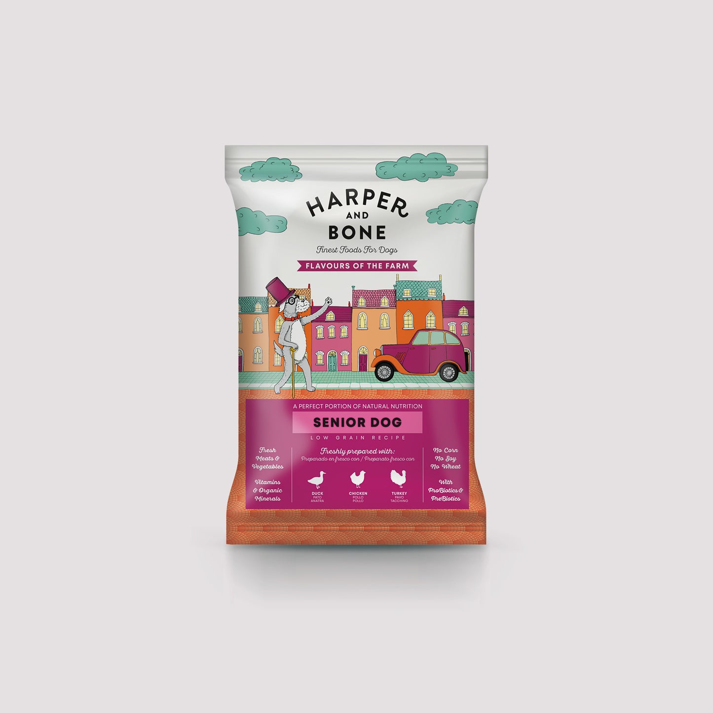 Amostra Senior Flavours of the farm 100g