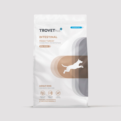 Intestinal - Fresh turkey - Erwachsener Hund