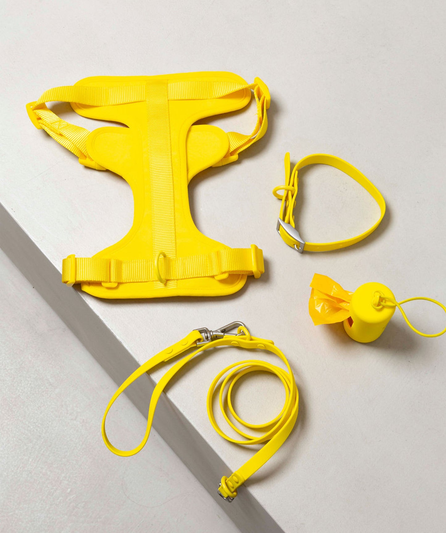 Smart Dog Leash