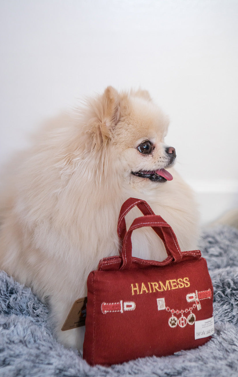 Hairmess