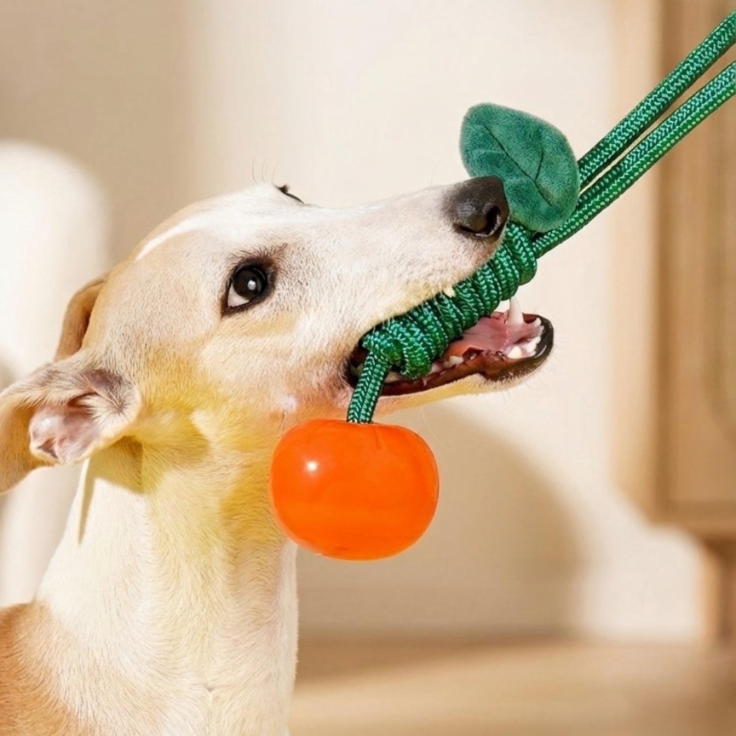 Mandarine chew