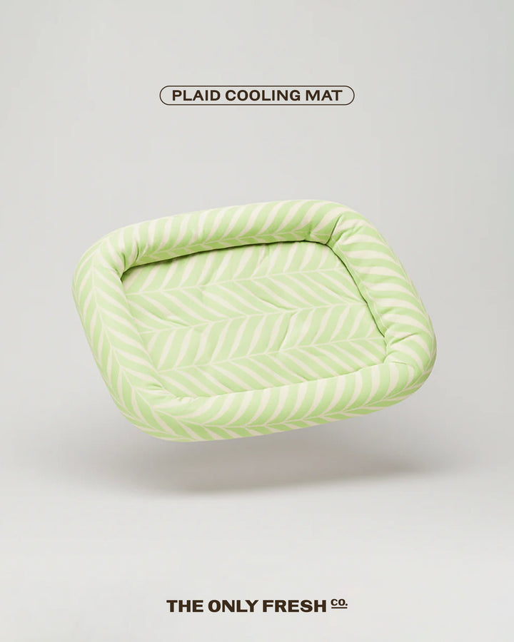 The art of staying cool during summer 🥵 Comfort, freshness, and a touch of style. Exactly where they belong 🧡