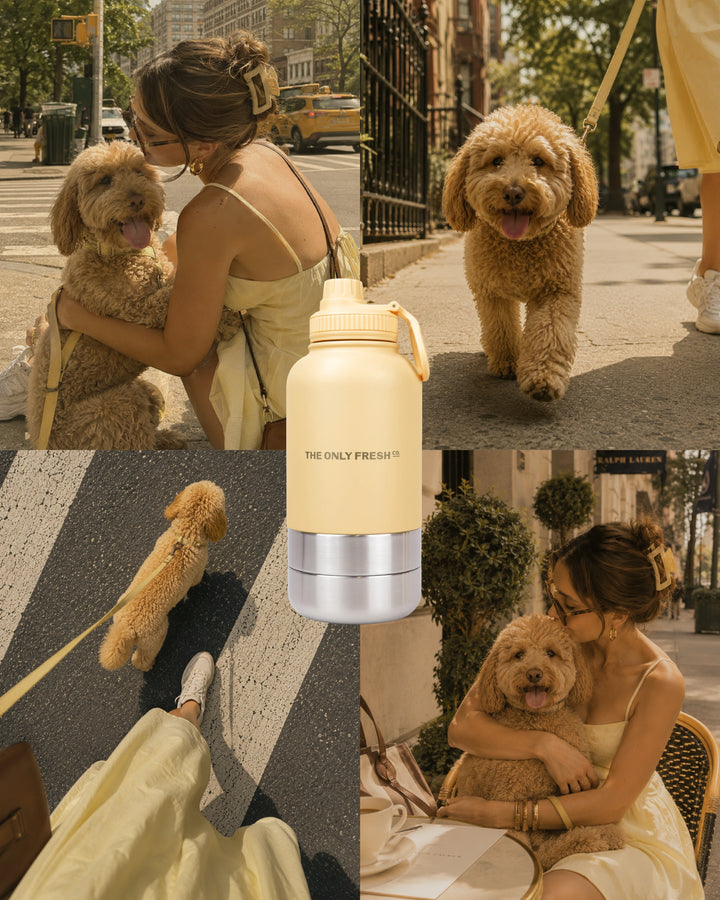 City strolls, but make them stylish 💁🏼♀️Every summer adventure deserves thoughtful detailsfor you and your four-legg...