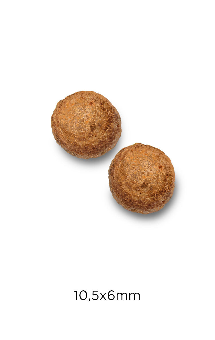 Cat Hairball - Chicken & Rice - Pollo y Arroz
