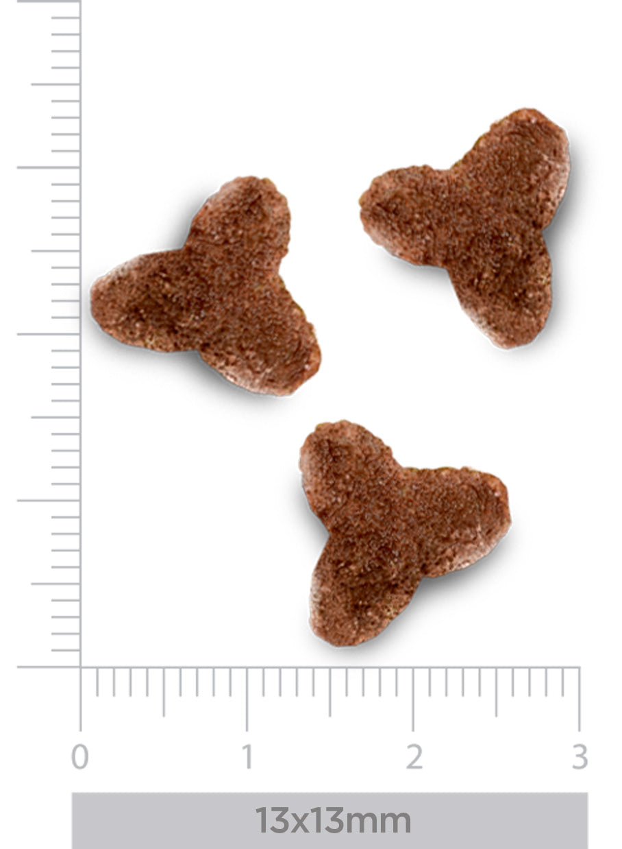 Hepatic - pour chats