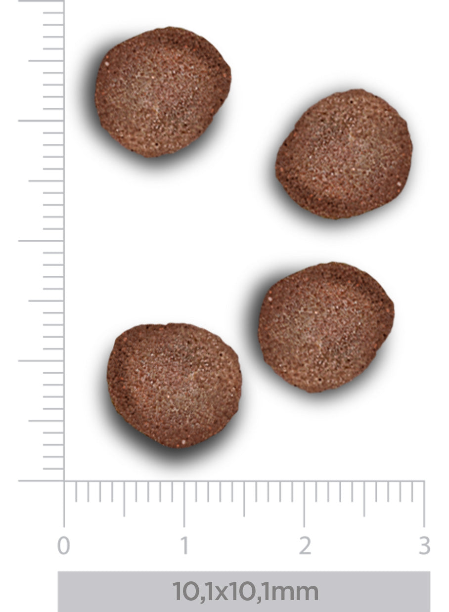 Hypoallergenic - Fresh rabbit - per cani
