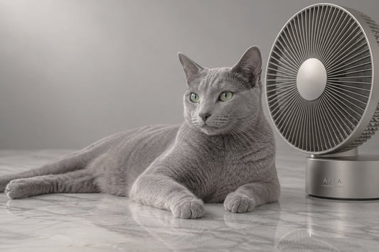 Gato gris de ojos verdes tumbado sobre mármol junto a un ventilador de mesa