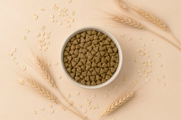 Grain-free cat food: yes or no?