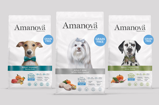 El mejor pienso para perros con problemas digestivos