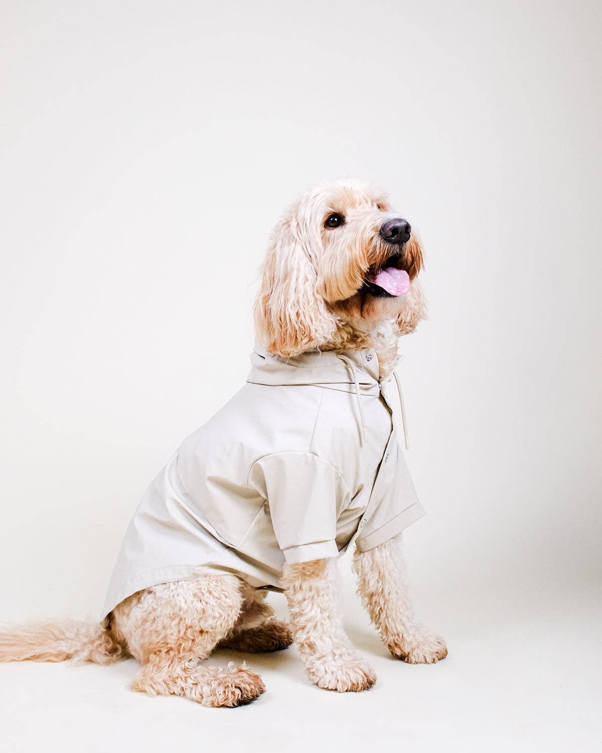Stone Dog Raincoat - płaszcz przeciwdeszczowy
