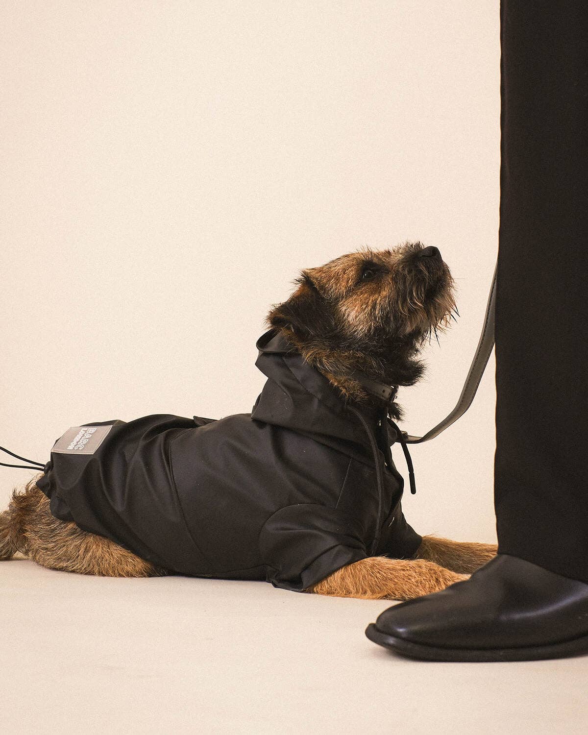 Black Dog Raincoat - imperméable