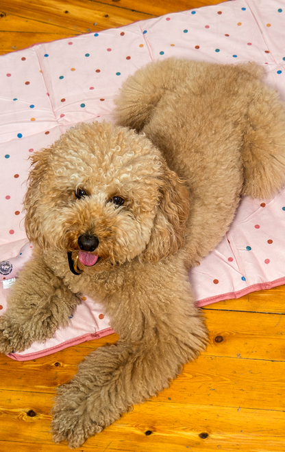 Travel bed