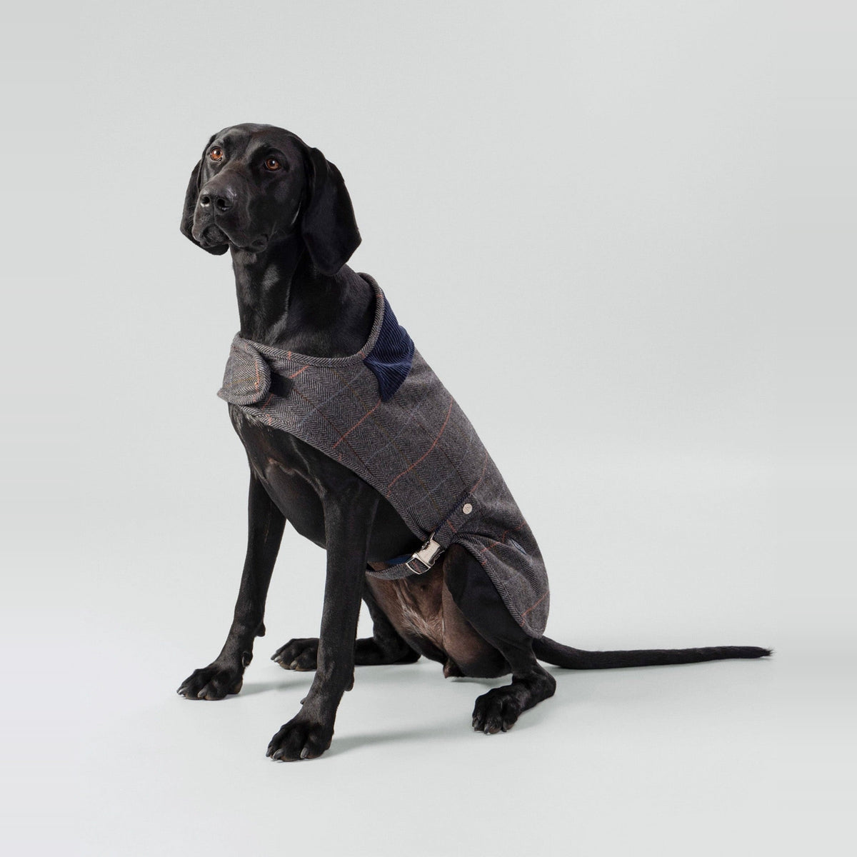 Tweed jacket