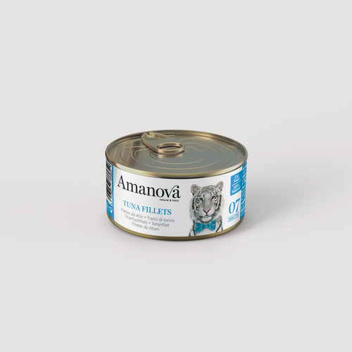 07 Tuna Fillets
