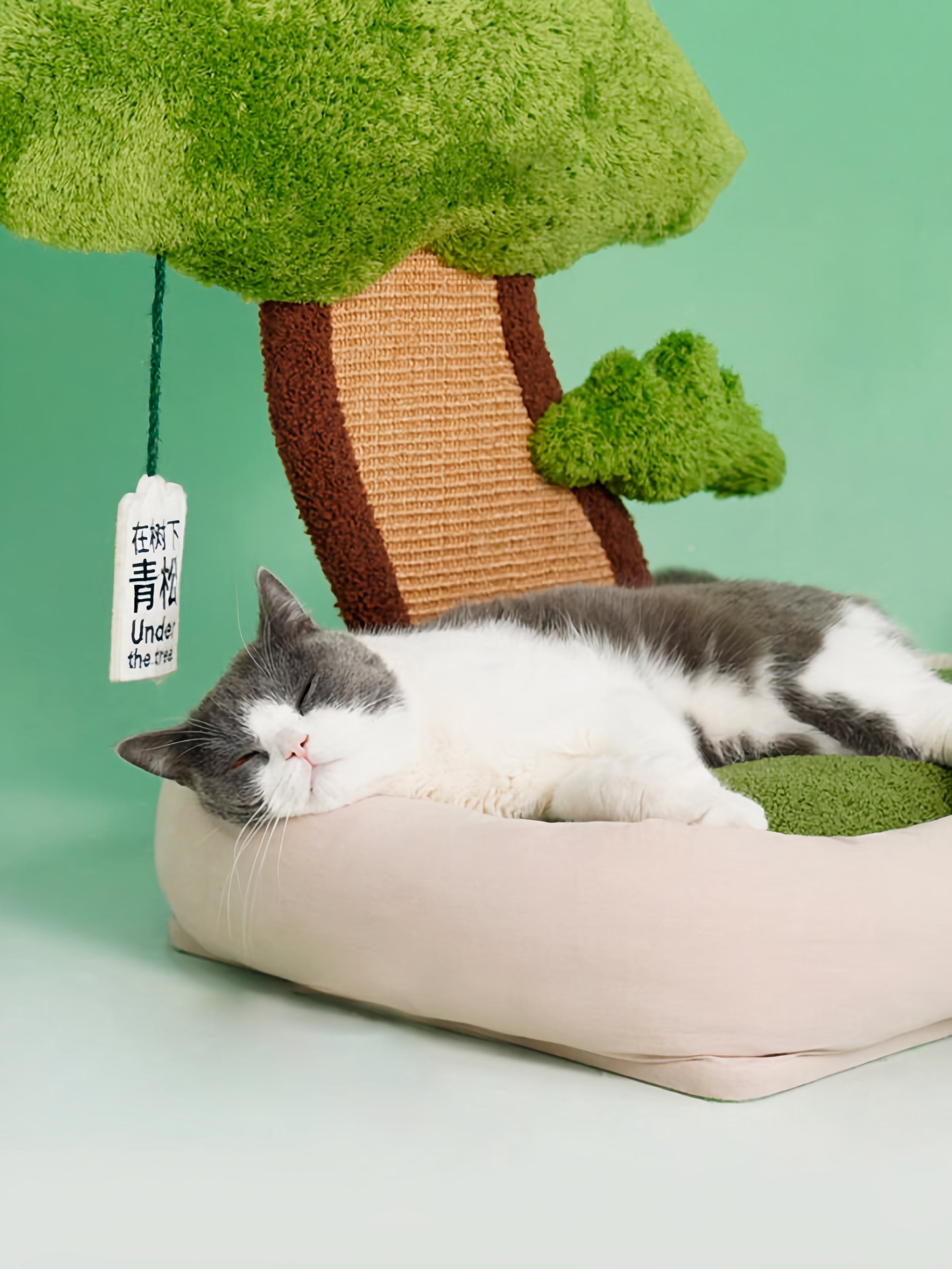 Green Lucky Tree