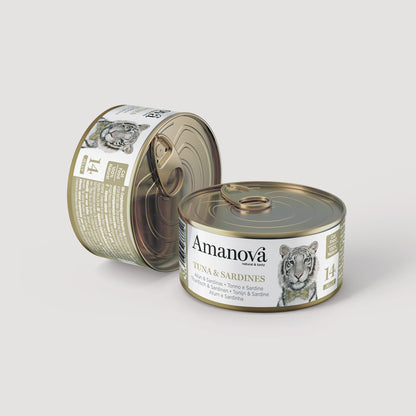 14 Thunfisch & Sardinen