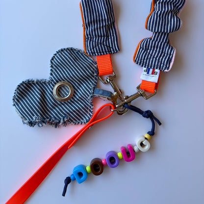 Blue striped leash - smycz