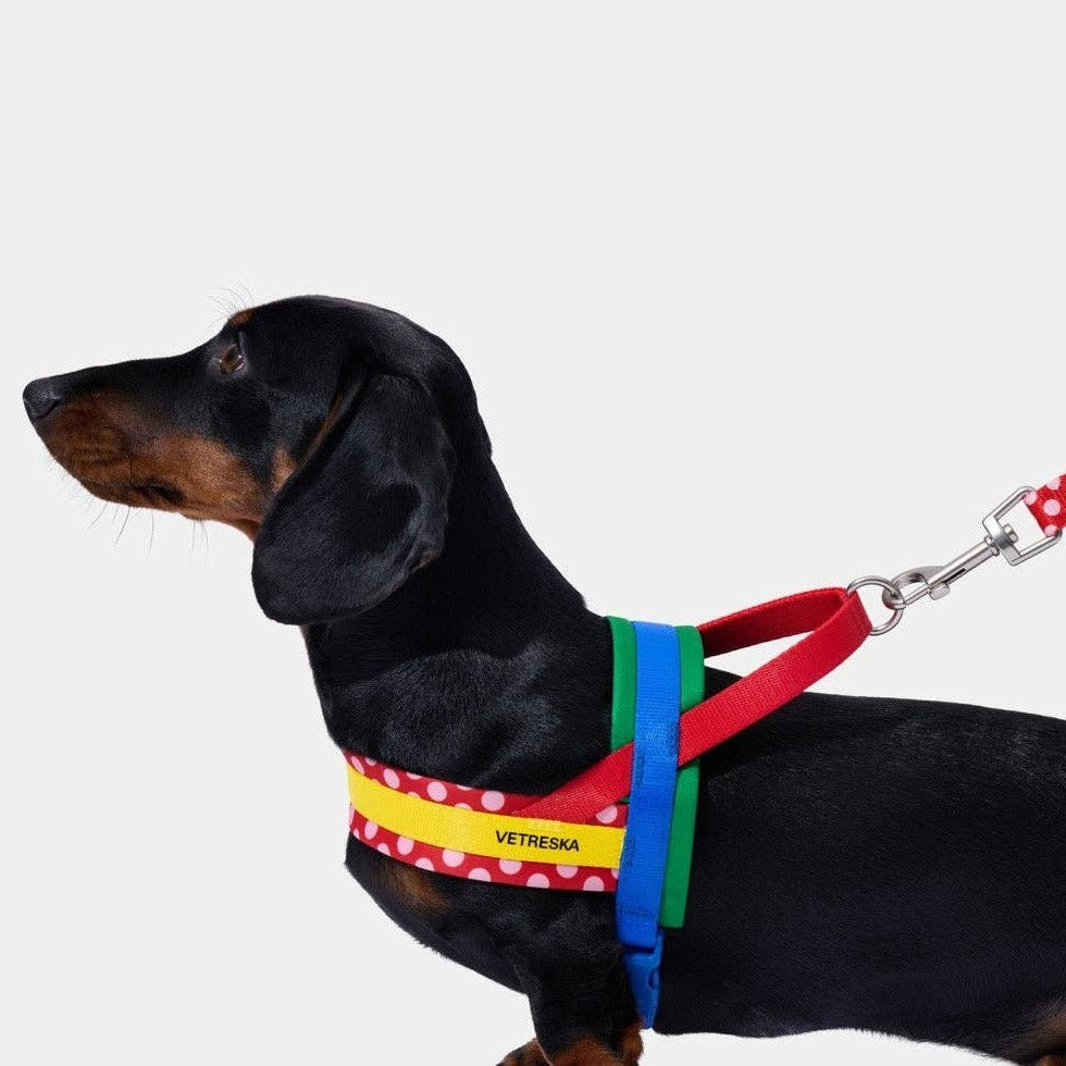 Chroma Pet Harness & Leash Set Red - szelki i smycz