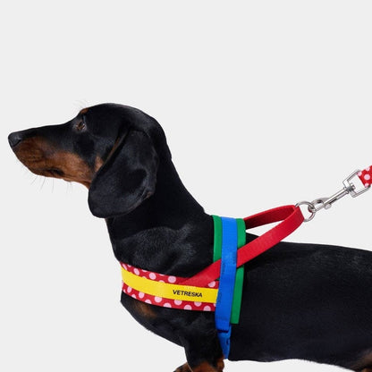 Chroma Pet Harness & Leash Set Red - szelki i smycz