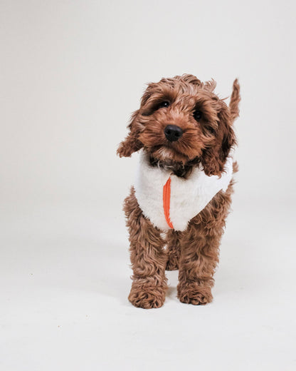 Cream Sherpa Fleece Dog Vest - Gilet