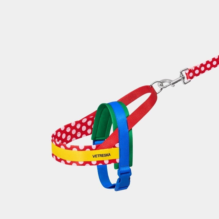 Chroma Pet Harness & Leash Set Red - szelki i smycz