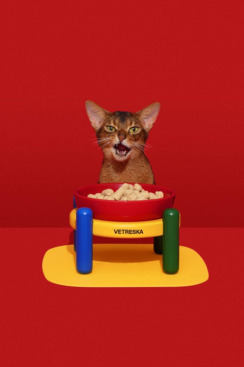 Chroma Ceramic Pet Bowl & Mat Set - gamelle