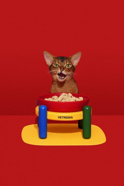 Chroma Ceramic Pet Bowl & Mat Set - gamelle