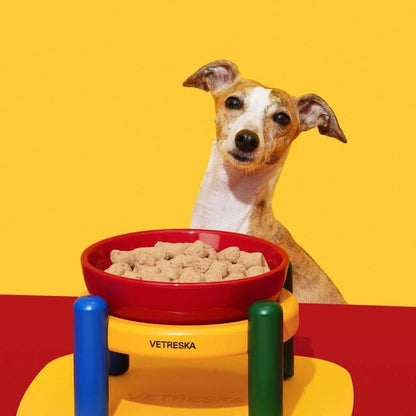 Chroma Ceramic Pet Bowl & Mat Set - gamelle