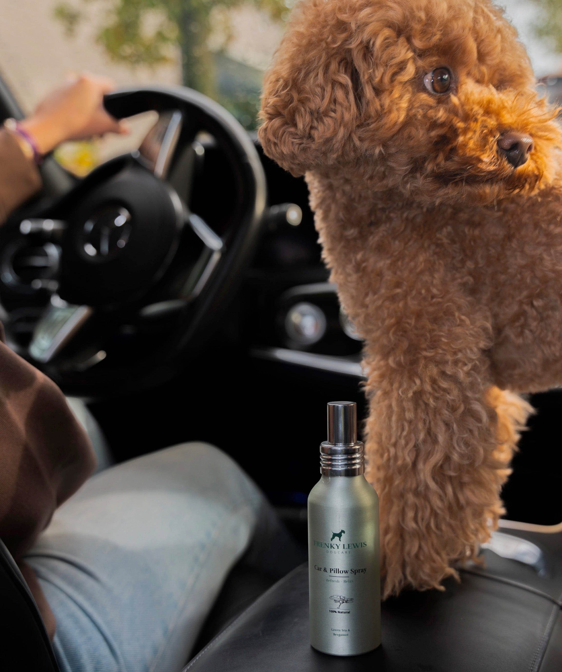 Car & Pillow spray