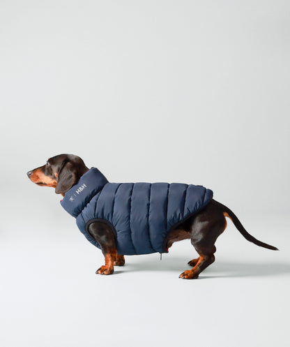 Hackett dog puffer