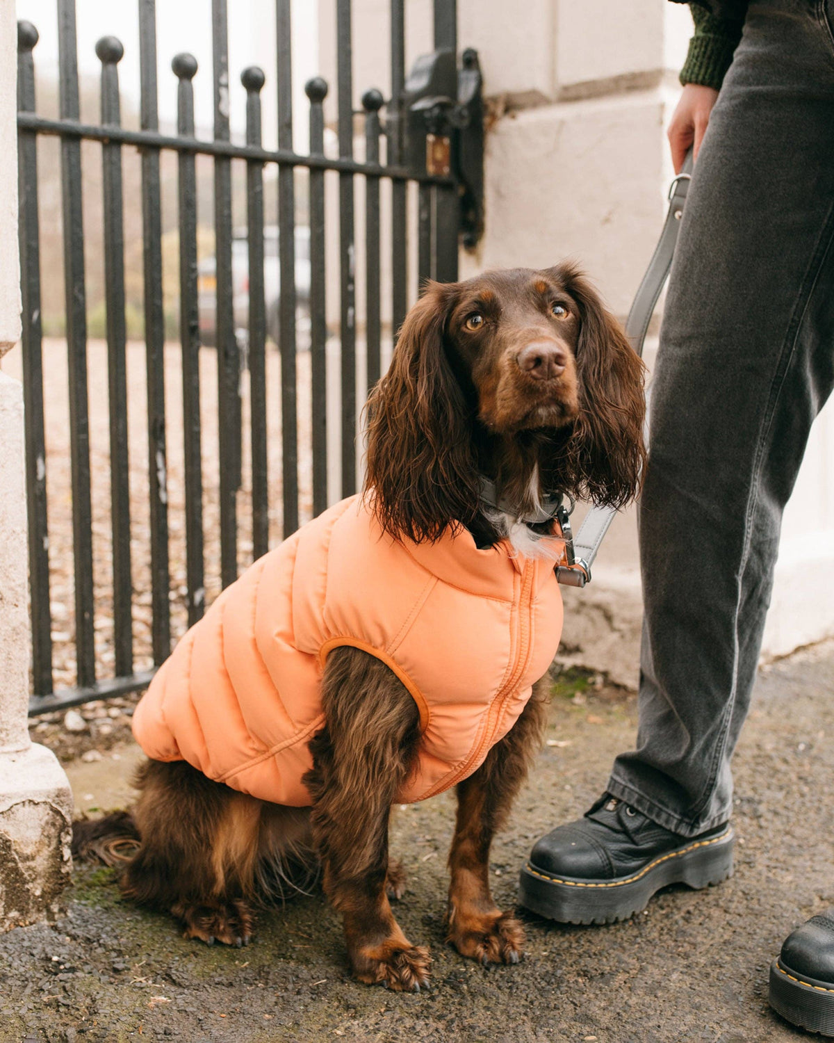 Reversible Dog Puffer Jacket: Coral & Khaki Green - Manteau
