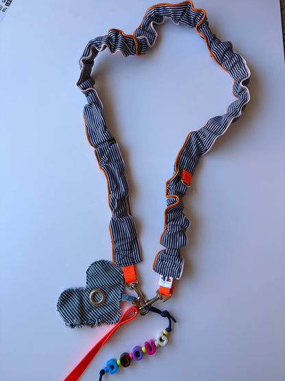 Blue striped leash - smycz