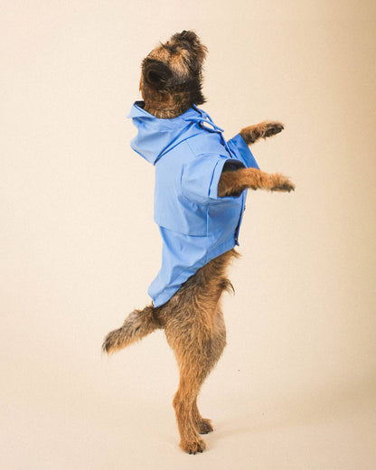 Blue Dog Raincoat - chubasquero