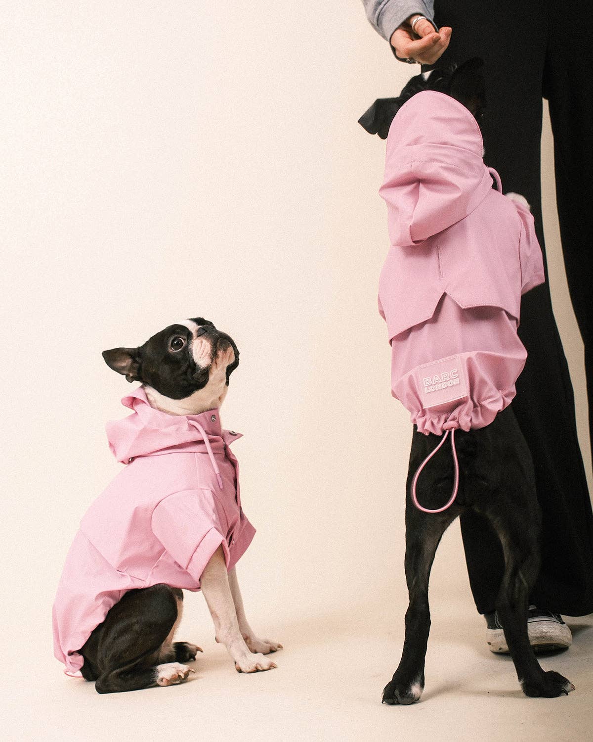 Pink Dog Raincoat - chubasquero