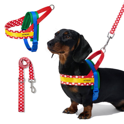 Chroma Pet Harness & Leash Set Red - szelki i smycz