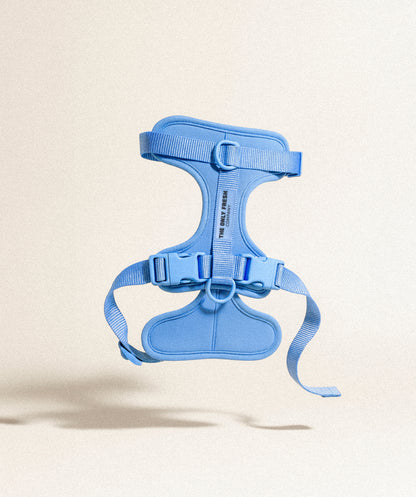 Smart Harness