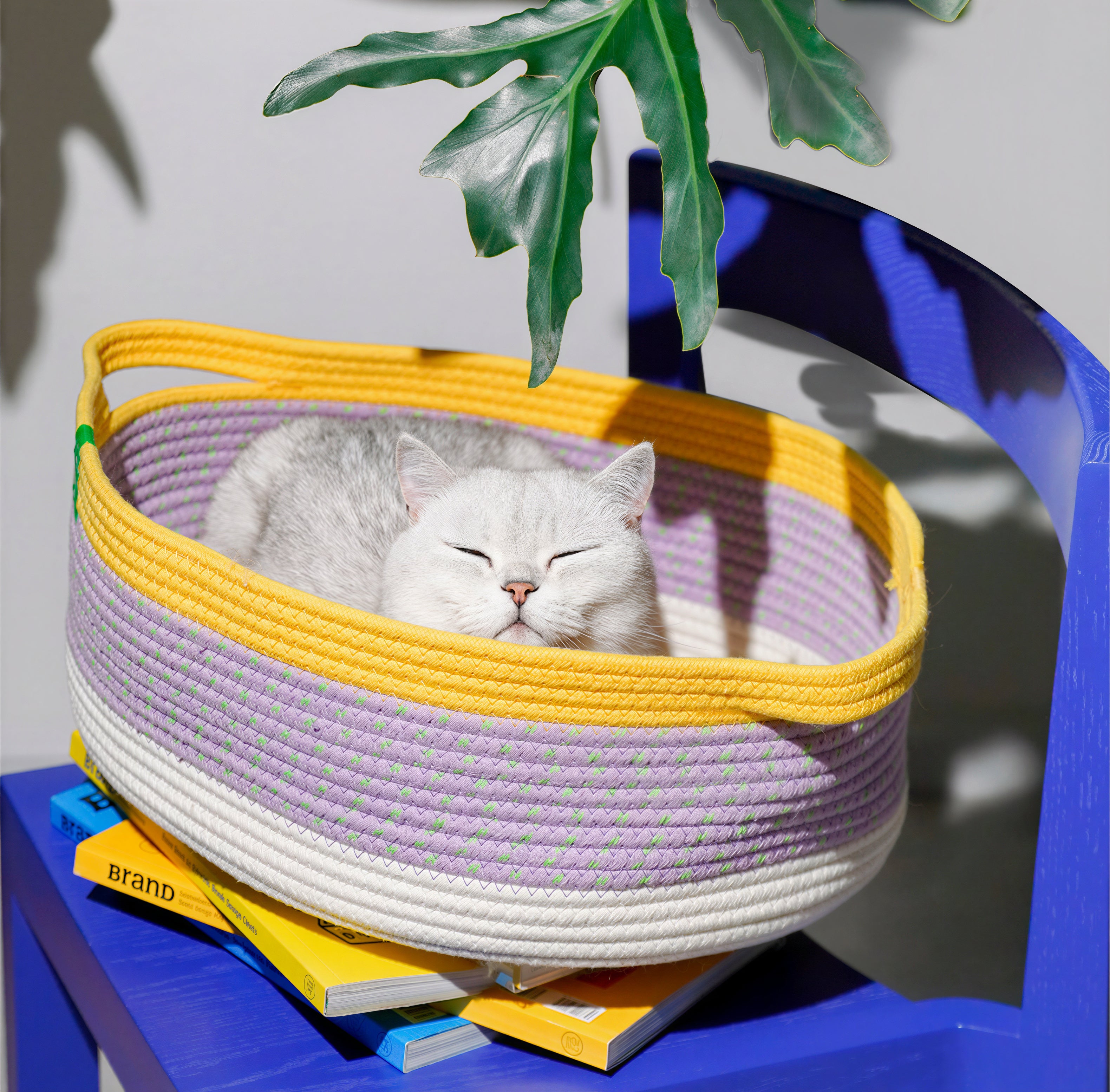 Lavender Rope Nest