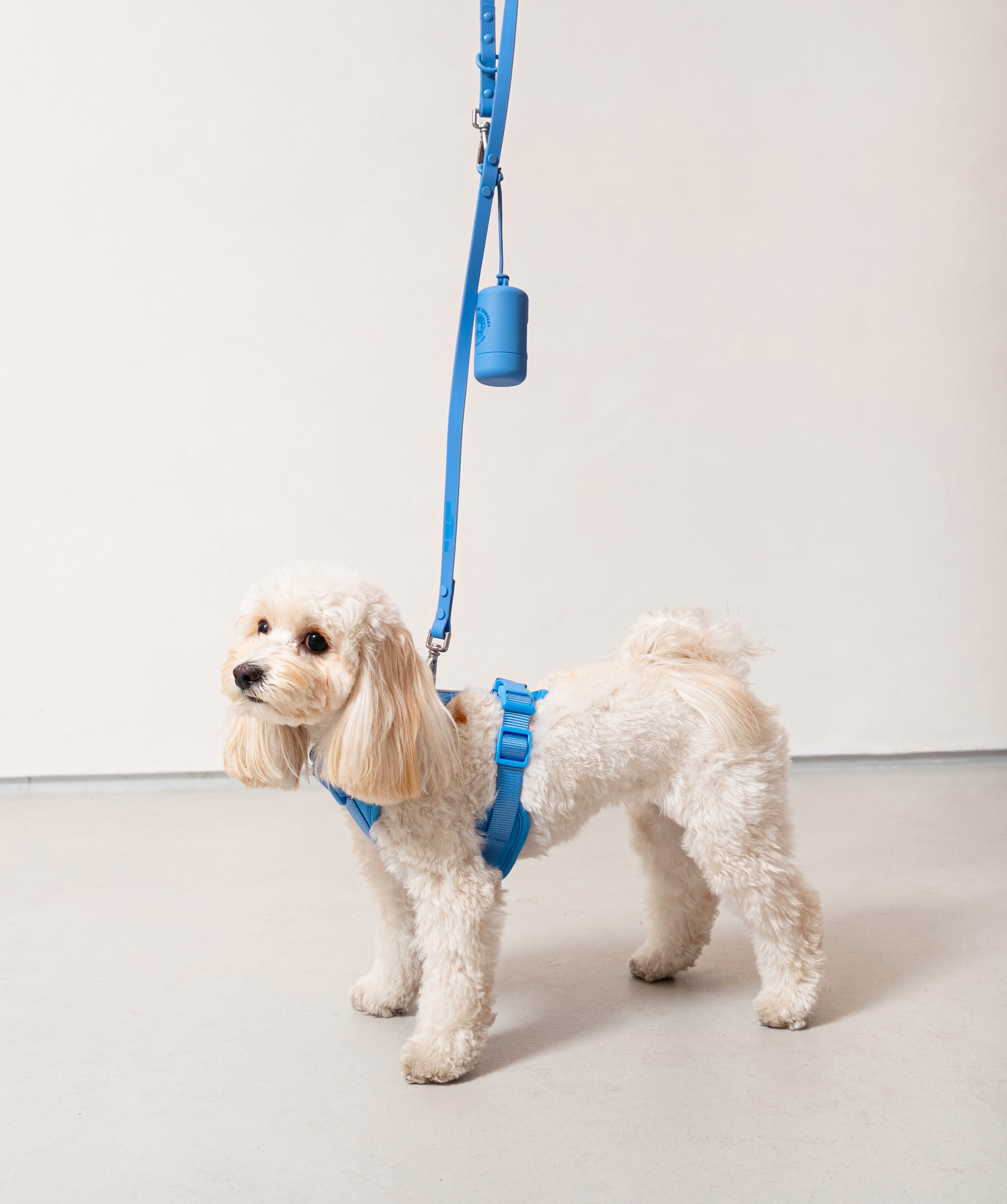 Smart Dog Leash - Blue