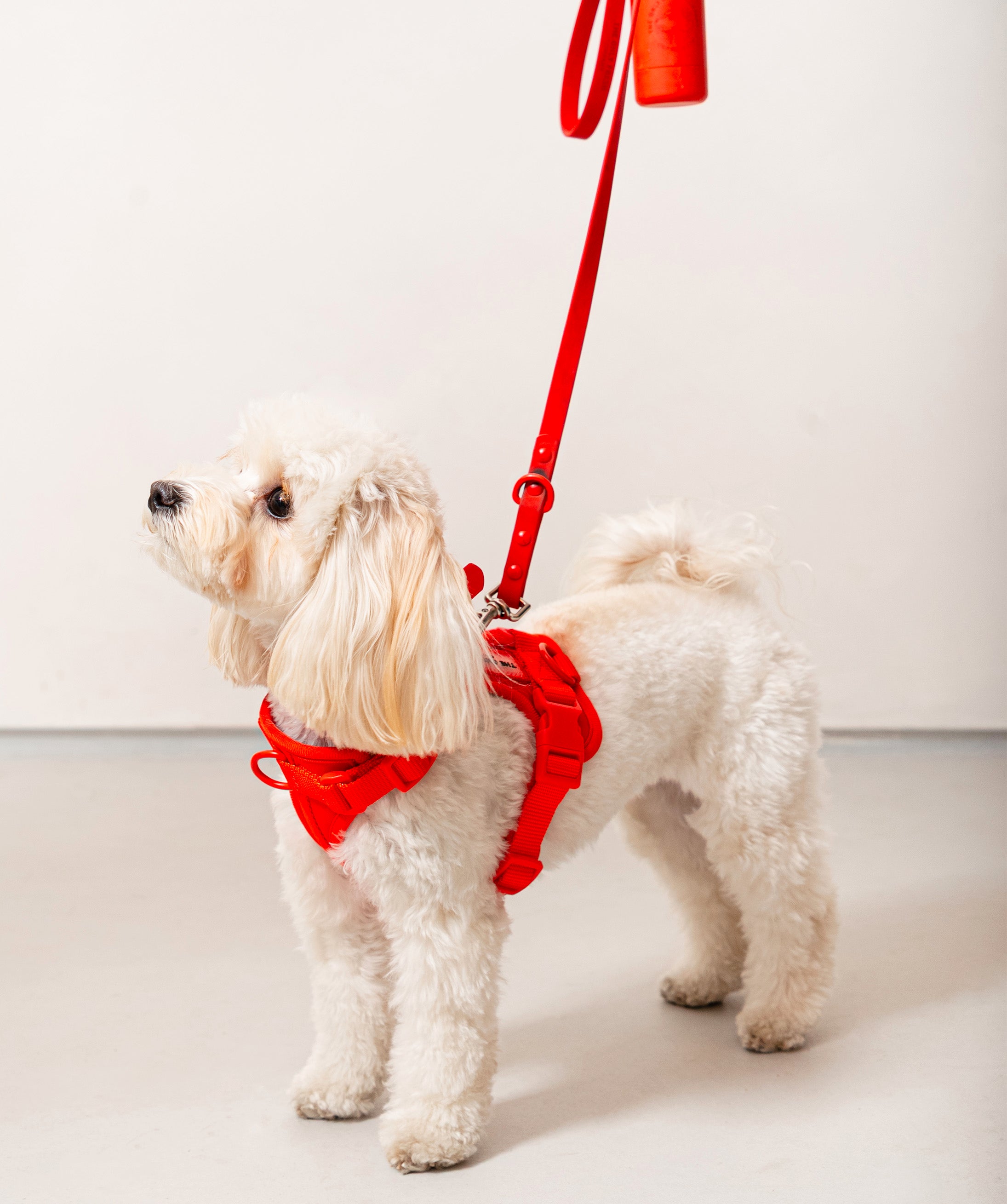 Smart Dog Leash - Red