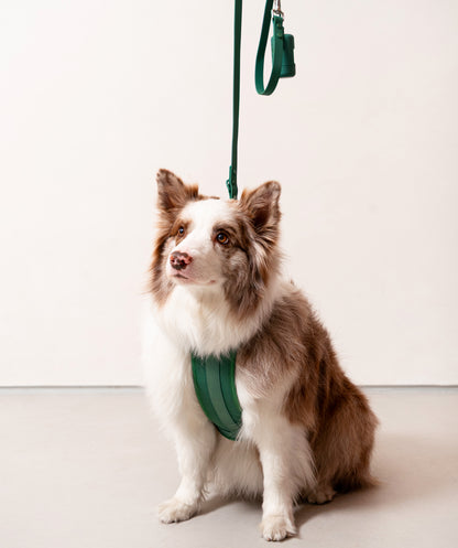 Smart Harness
