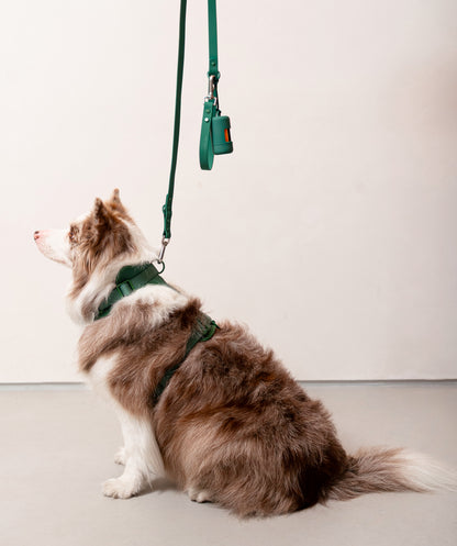Smart Harness