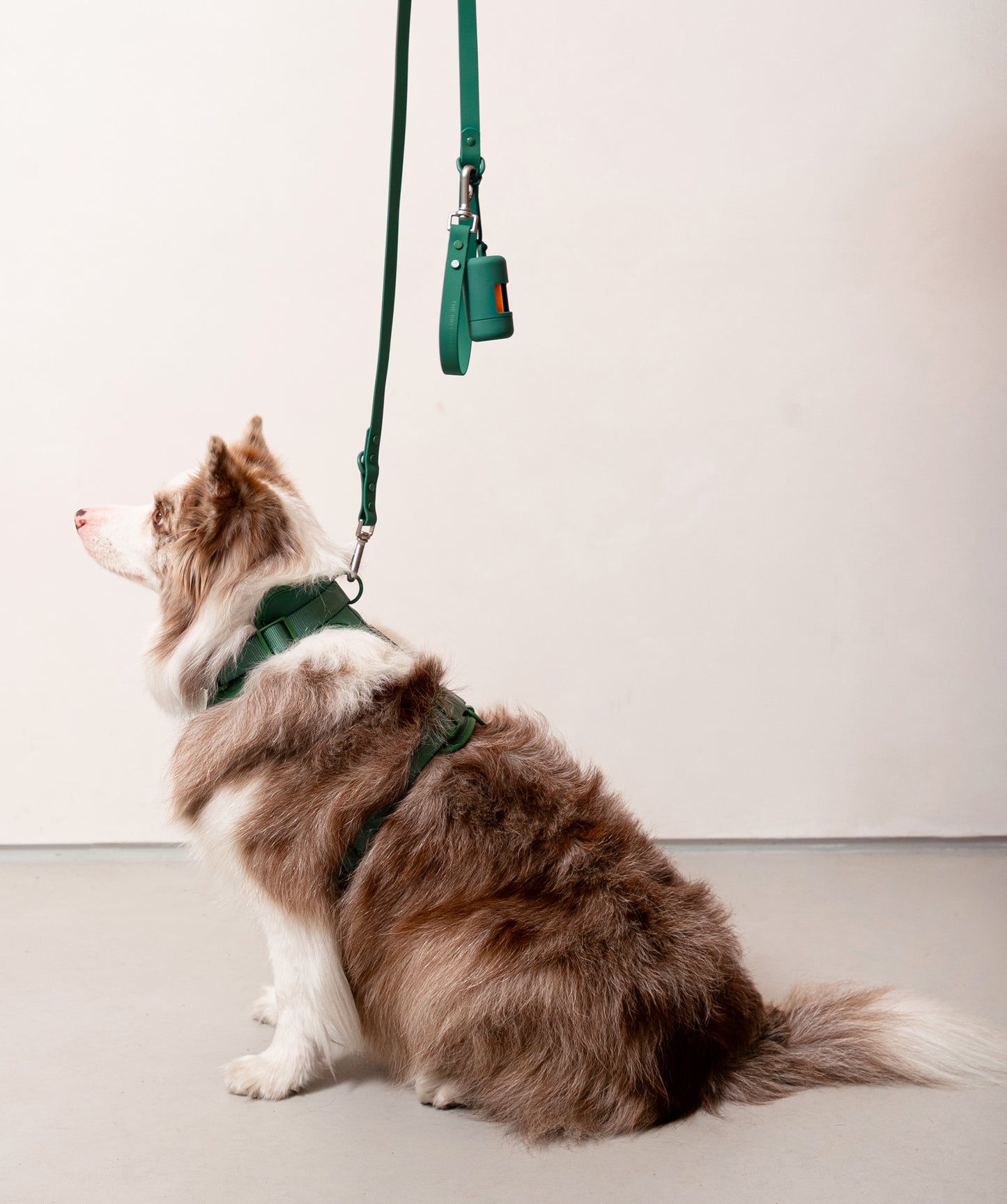 Smart Dog Leash - Green