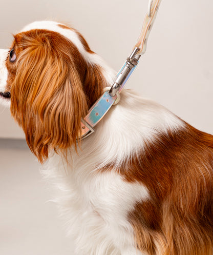 Smart Dog Collar - Lunar