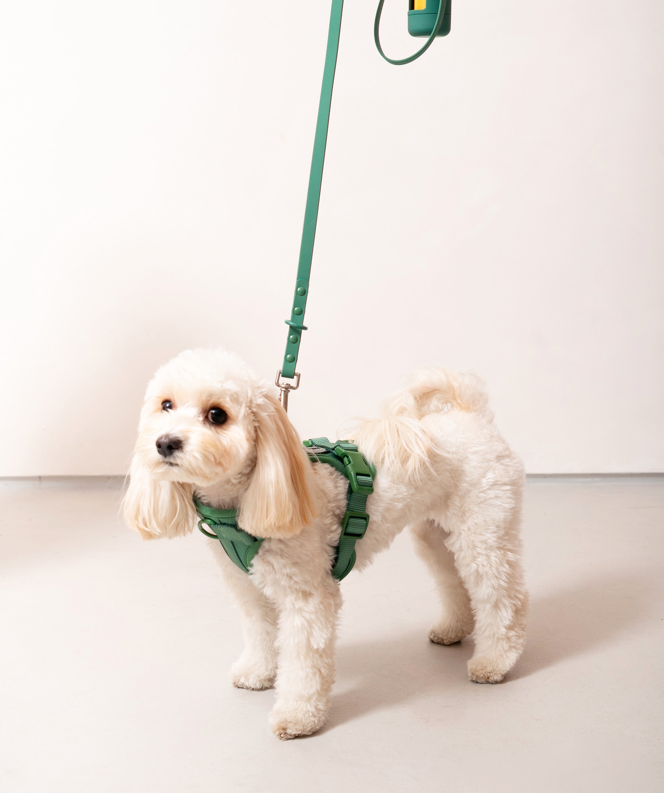 Smart Dog Leash - Green